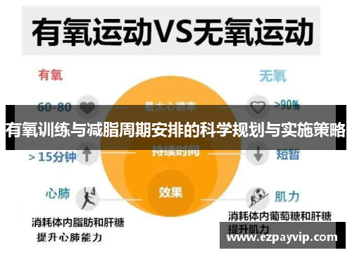 有氧训练与减脂周期安排的科学规划与实施策略